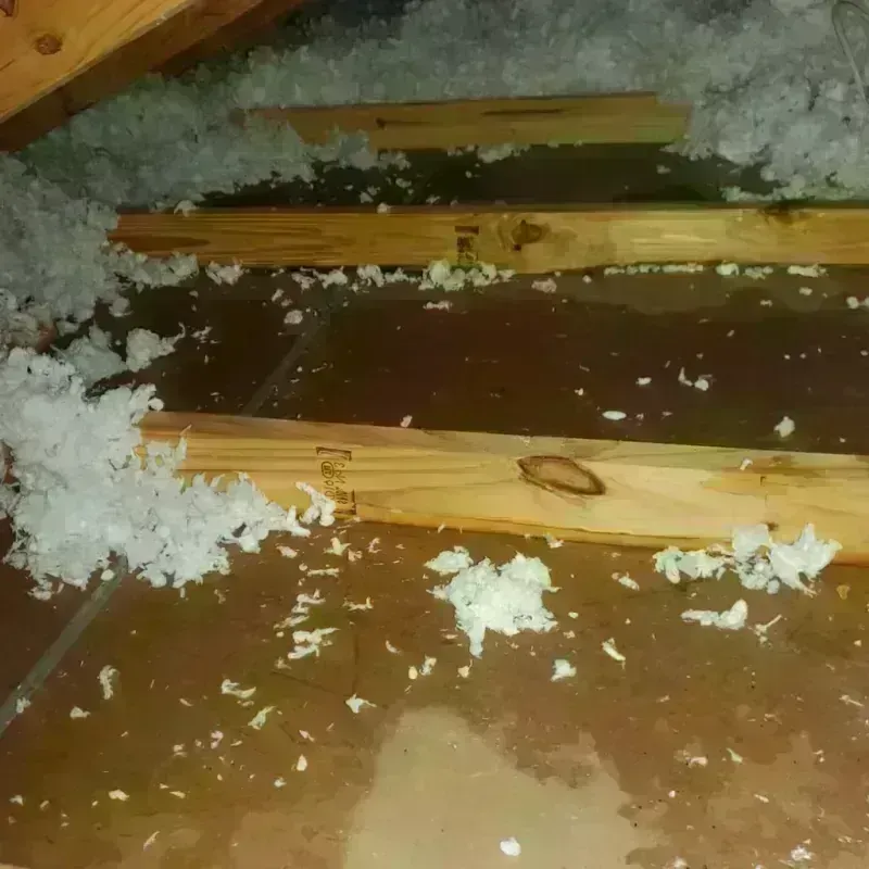 Attic Water Damage in Valley View, OH