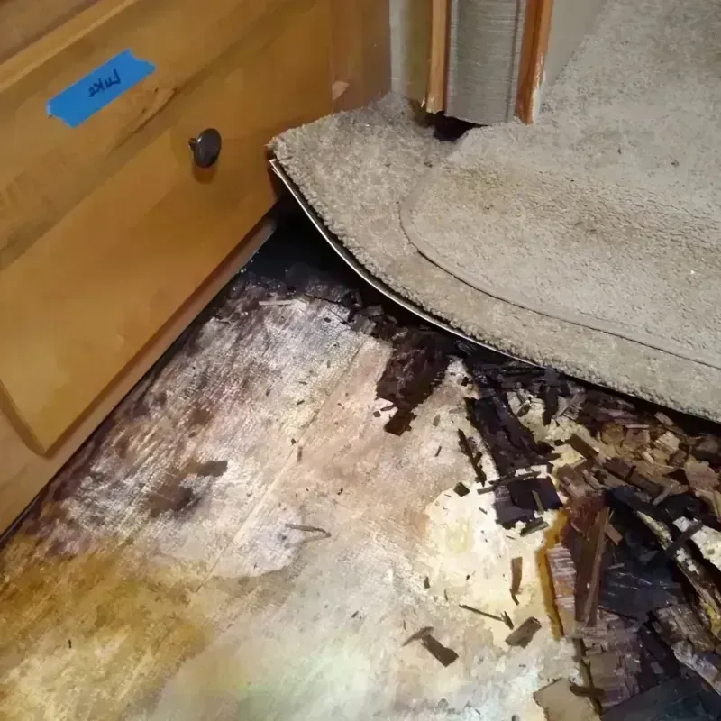 Wood Floor Water Damage in Valley View, OH